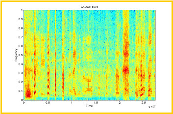 Laughter Spectrogram